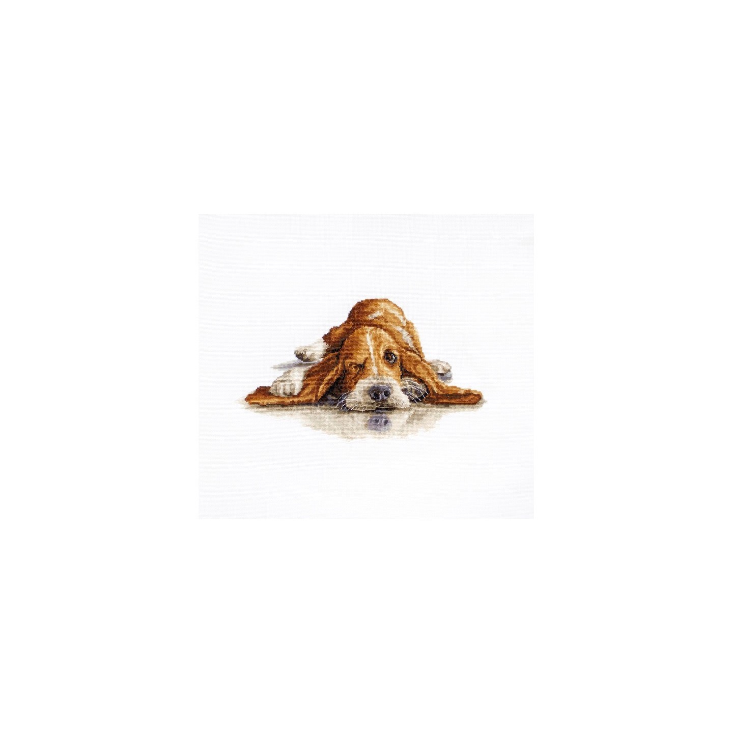 Luca-S Stickset Basset 2