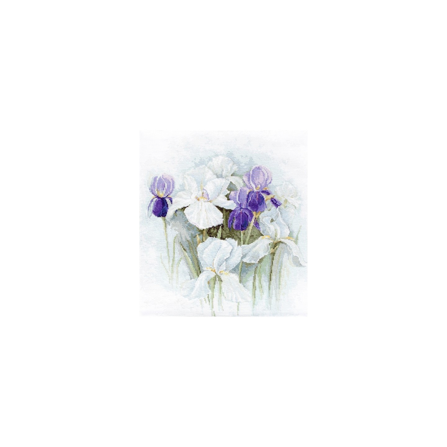 Luca-S Stickset Iris