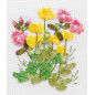 Stickset Butterblumen und Lungenkraut