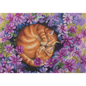Panna Kit de broderie O?