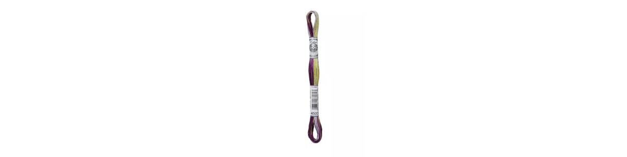 Stickgarn DMC Mouliné Coloris