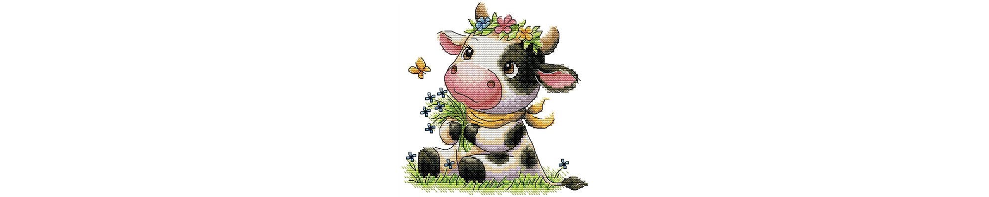 Embroidery kit for beginners
